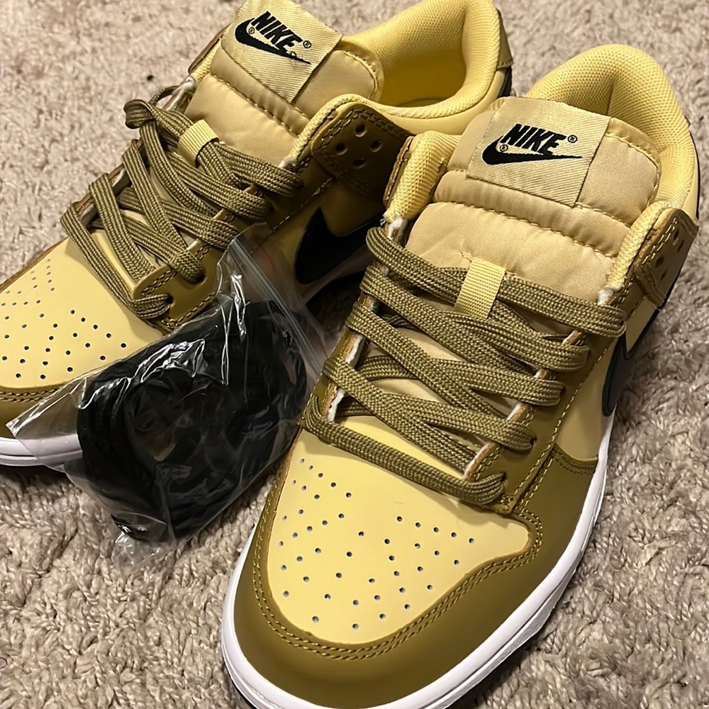 BRAND NEW DUNKS
